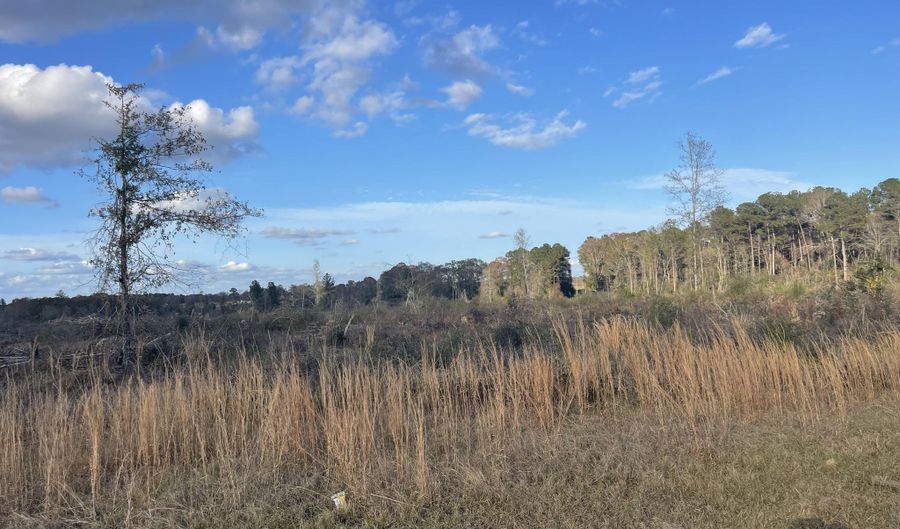 87 Ac Jack Kerley Rd, Bassfield, MS 39421 - 0 Beds, 0 Bath