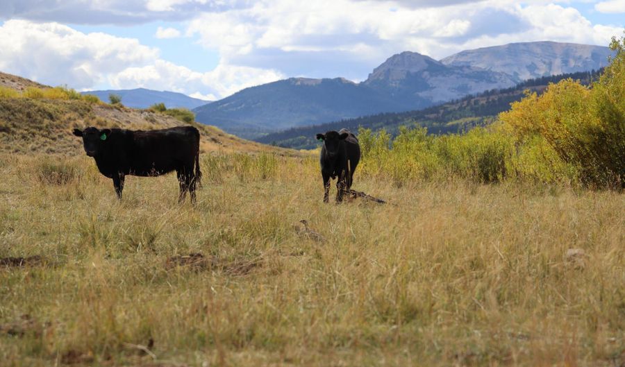 618 N COTTONWOOD Rd, Daniel, WY 83115 - 0 Beds, 0 Bath
