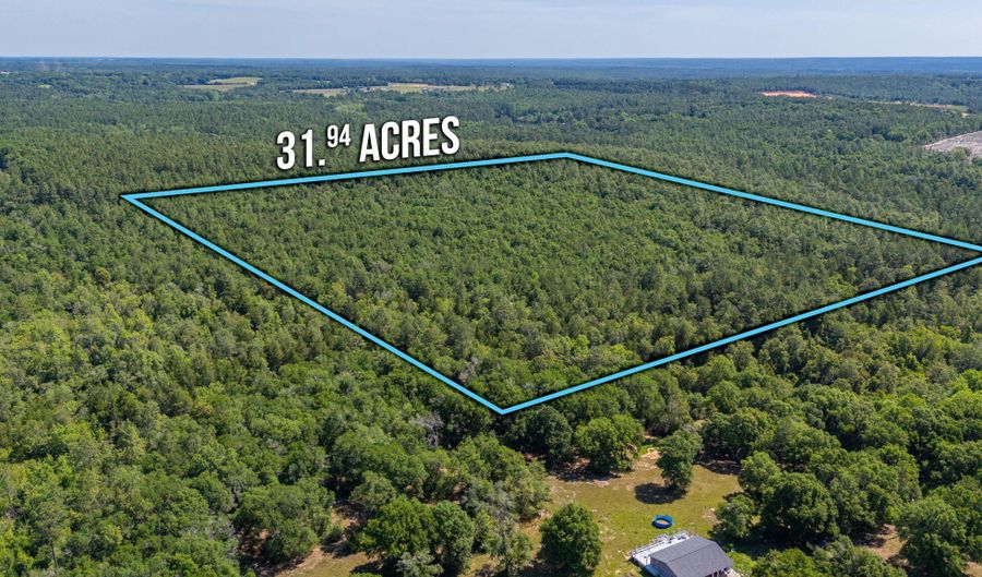 31 Acres Canyon Trl, Baker, FL 32531 - 0 Beds, 0 Bath