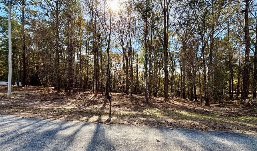 176 Pebble Cove Rd, Abbeville, AL 36310 - 0 Beds, 0 Bath