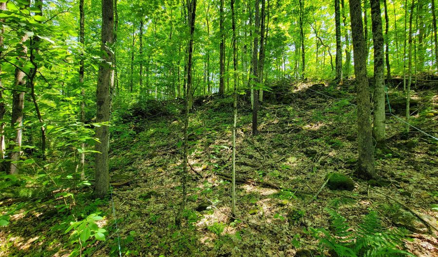 21 Nickerson Rd, Brandon, VT 05733 - 0 Beds, 0 Bath