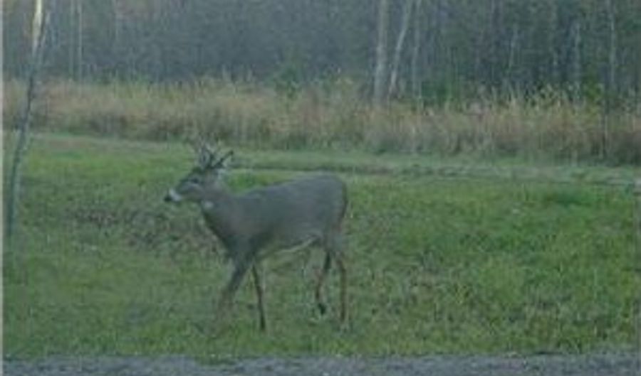 999 Porcupine Trl, Aitkin, MN 56431 - 0 Beds, 0 Bath