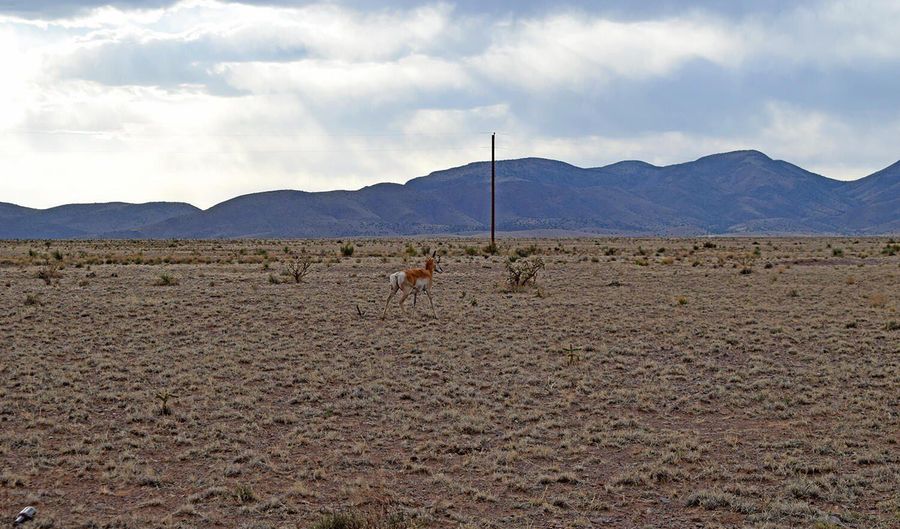 High Chapparal Road lot 3-69, San Antonio, NM 87801 - 0 Beds, 0 Bath