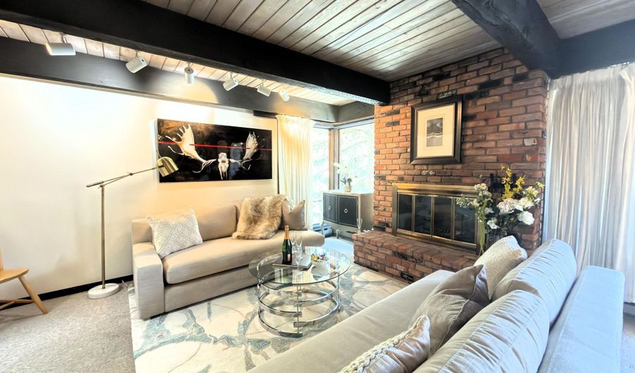 1034 E COOPER Avenue 19, Aspen, CO 81611 - 2 Beds, 2 Bath