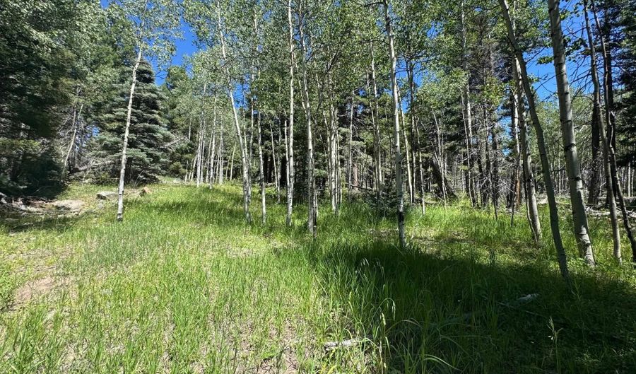 Lot 1012 El Camino Real, Angel Fire, NM 87710 - 0 Beds, 0 Bath