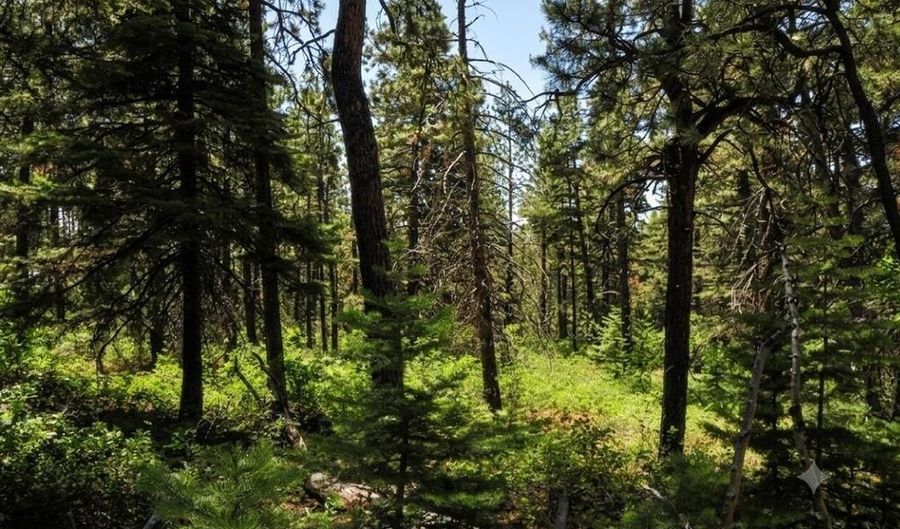 176 Big Timber Dr, Bayfield, CO 81122 - 0 Beds, 0 Bath