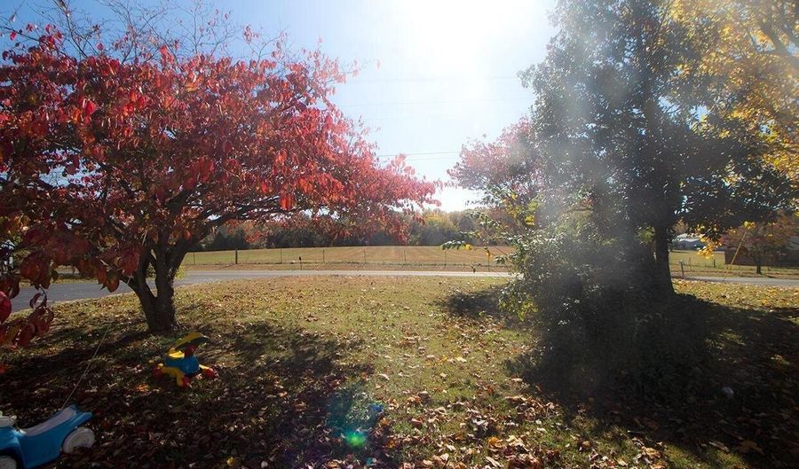 9620 Woodburn Allen Springs Rd, Alvaton, KY 42122 - 3 Beds, 1 Bath