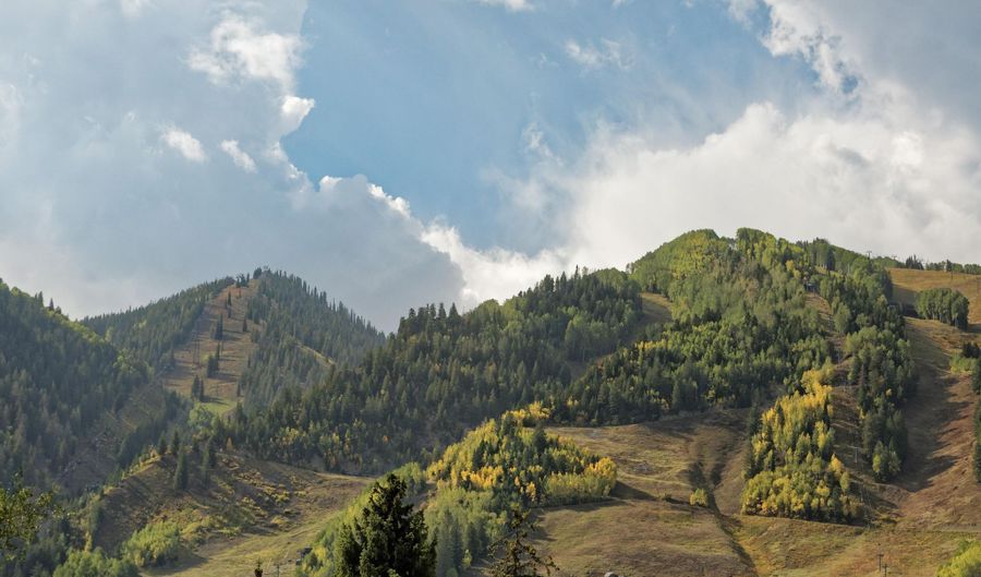 219 N Monarch St, Aspen, CO 81611 - 8 Beds, 8 Bath