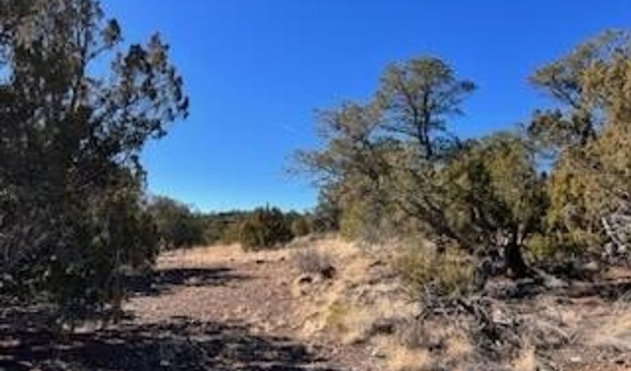 N8689 lot 002P, Concho, AZ 85924 - 0 Beds, 0 Bath