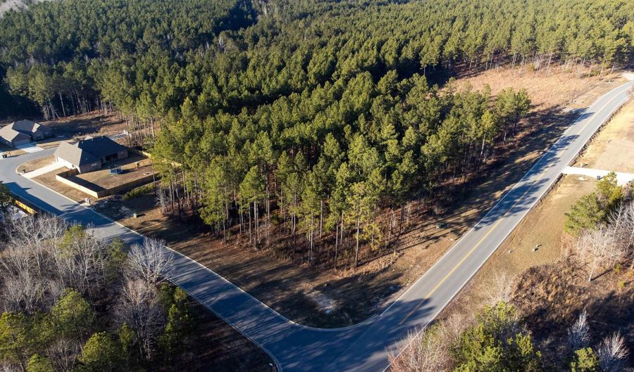 Parkway Trails lot 111, Bauxite, AR 72011 - 0 Beds, 0 Bath