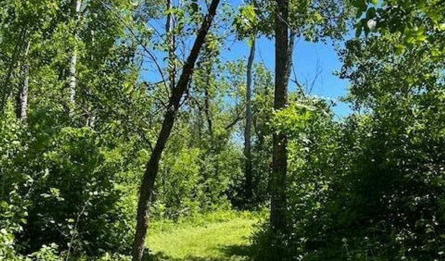 Lot 16 Hartley Shores Road, Bottineau, ND 58318 - 0 Beds, 0 Bath