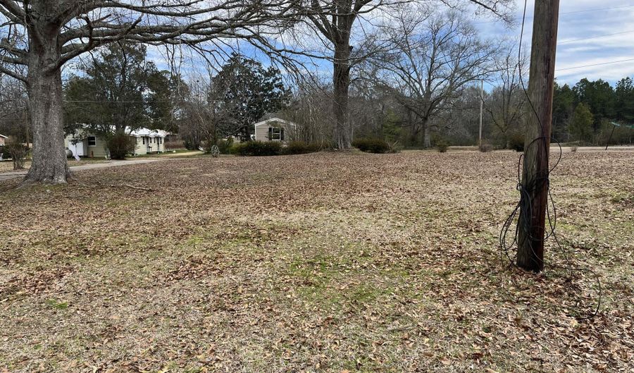 31 Webster Ave, Carson, MS 39427 - 3 Beds, 3 Bath