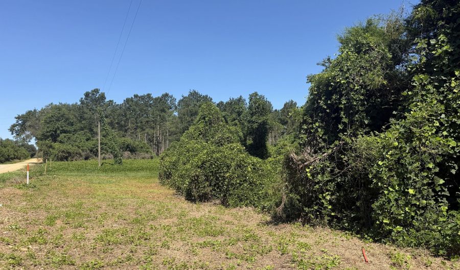006 H Wallace Buie Rd, Ashford, AL 36376 - 0 Beds, 0 Bath