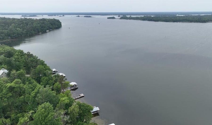 Lakeshore Dr, Bainbridge, GA 39819 - 0 Beds, 0 Bath