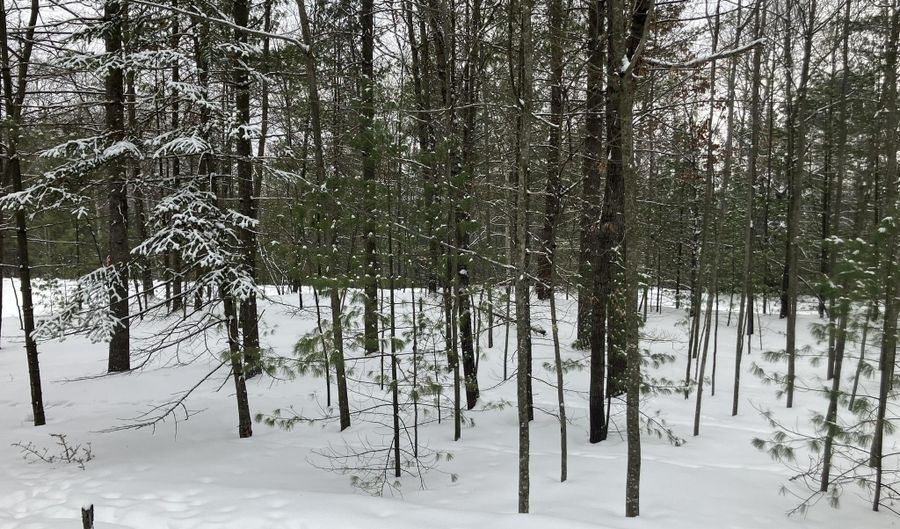 VL Wilderness Circle, Alger, MI 48610 - 0 Beds, 0 Bath