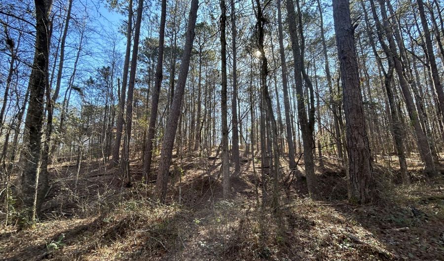 N Forty lot 2, Alexander City, AL 35010 - 0 Beds, 0 Bath