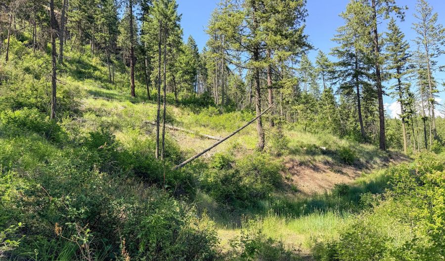 2008- TBD LOTS E-H SUMMIT VALLEY Rd, Addy, WA 99101 - 0 Beds, 0 Bath