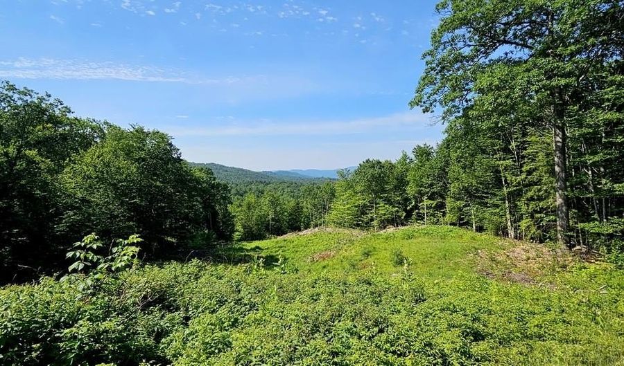 29 Mollie Rd, Bridgewater, NH 03222 - 0 Beds, 0 Bath