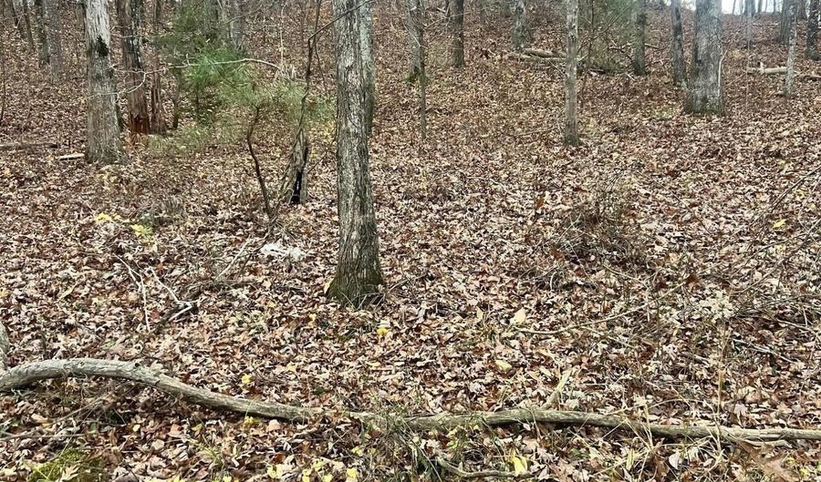 LOT 25 LYNNWOOD ESTATES PHASE 2, Arley, AL 35541 - 0 Beds, 0 Bath