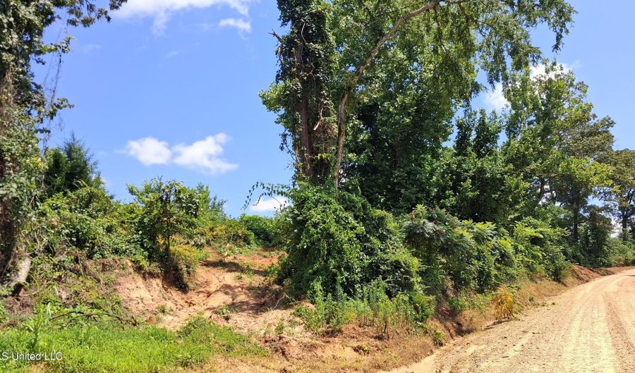 Gray Academy Road, Ashland, MS 38603 - 0 Beds, 0 Bath