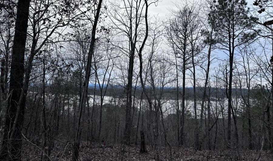 34 Acres- Mtn CONSTELLATION DRIVE Lot 34+ Acres-Mtn Tract One, Alpine, AL 35014 - 0 Beds, 0 Bath
