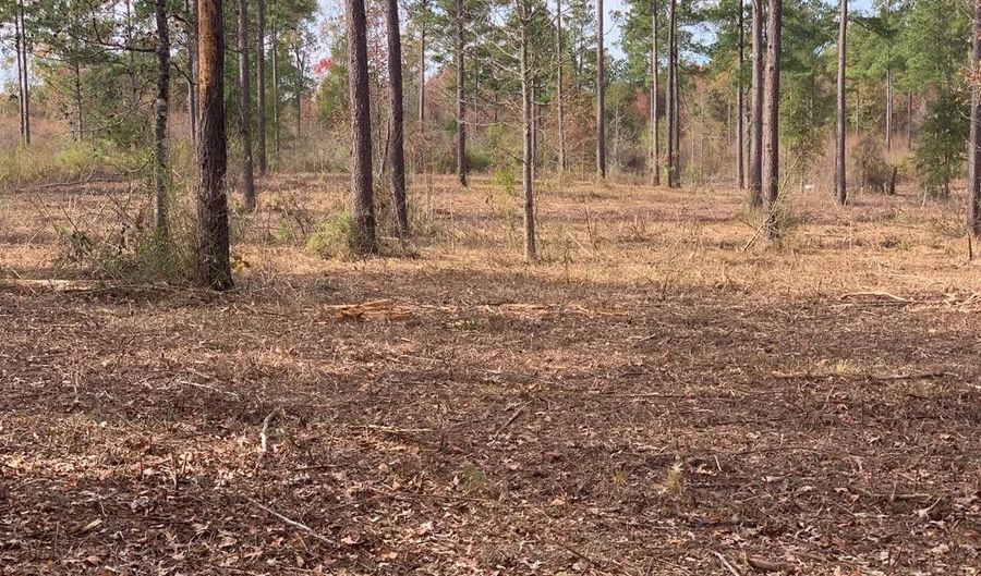 LOT # 5 OLD HWY 33, Centreville, MS 39631 - 0 Beds, 0 Bath