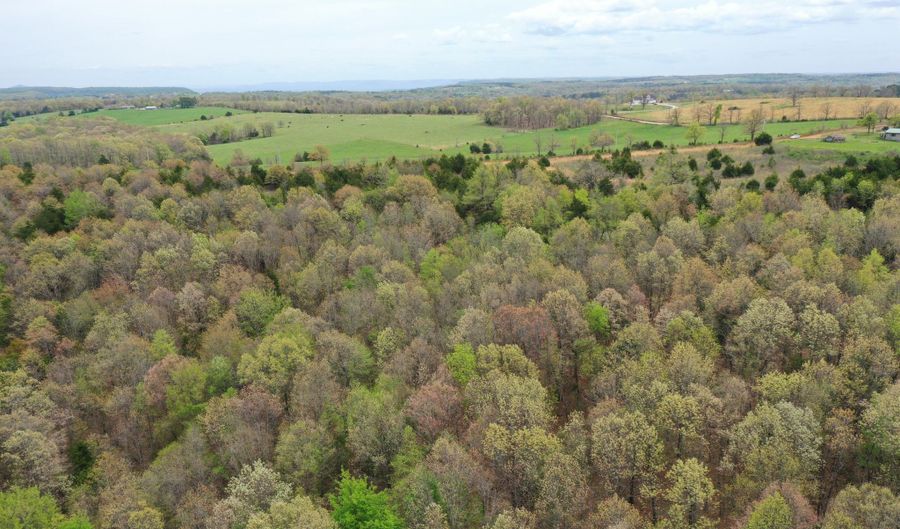 000 County Road 972, Alpena, AR 72611 - 0 Beds, 0 Bath