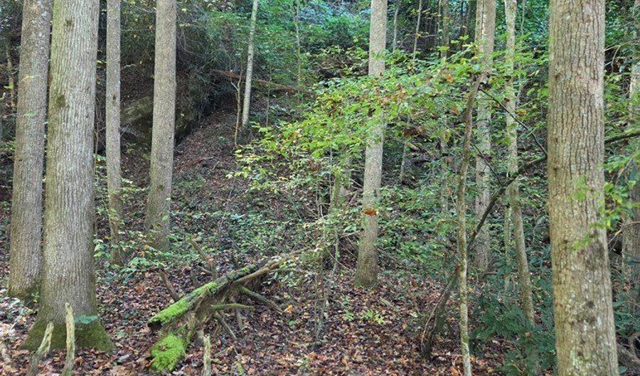 Lords Way, Andrews, NC 28901 - 0 Beds, 0 Bath