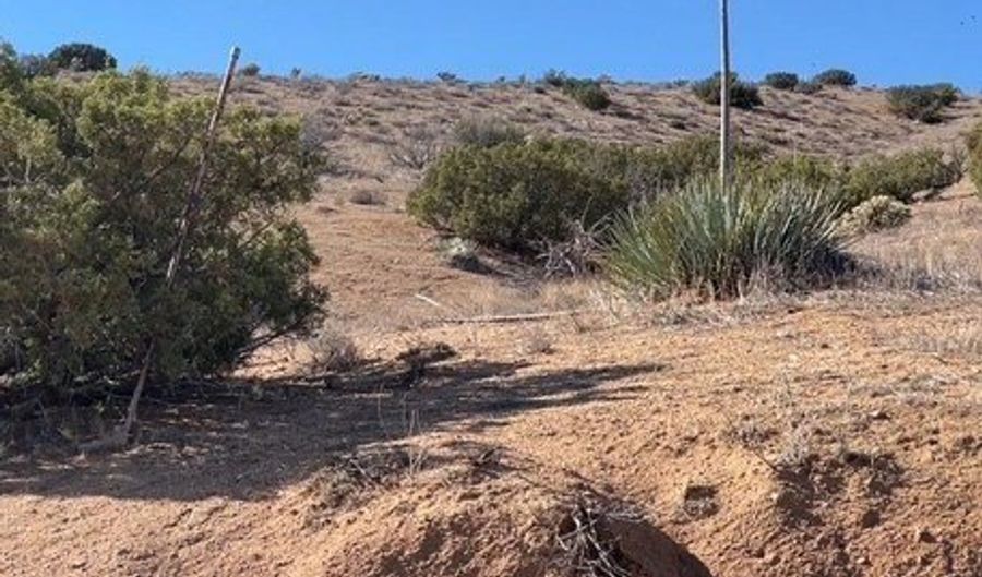 0 San Gabriel Ave, Acton, CA 93510 - 0 Beds, 0 Bath