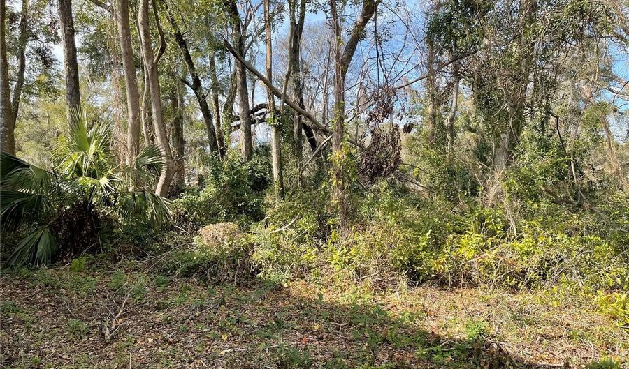 Lot 1 NW 135TH TERRACE, Alachua, FL 32615 - 0 Beds, 0 Bath