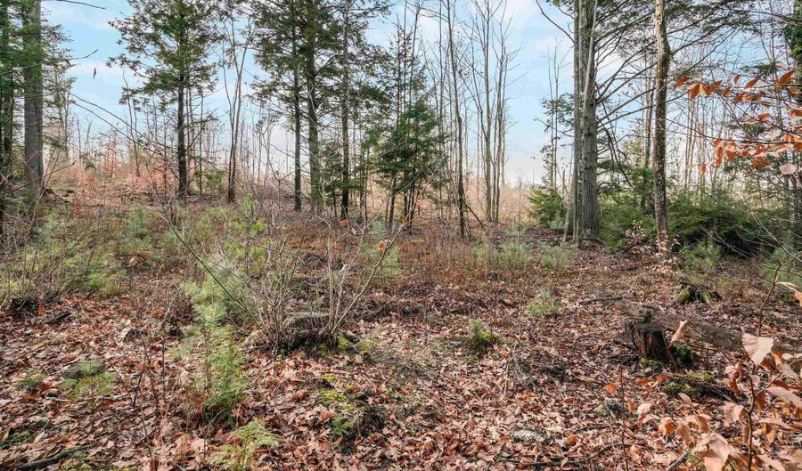 Merrill Road, Candia, NH 03034 - 0 Beds, 0 Bath