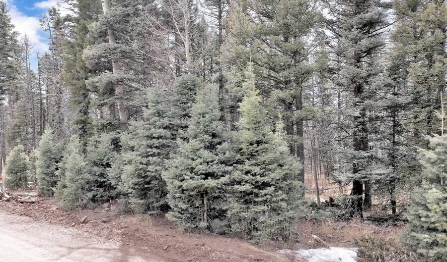 Skyview Overlook lot 1368, Angel Fire, NM 87710 - 0 Beds, 0 Bath