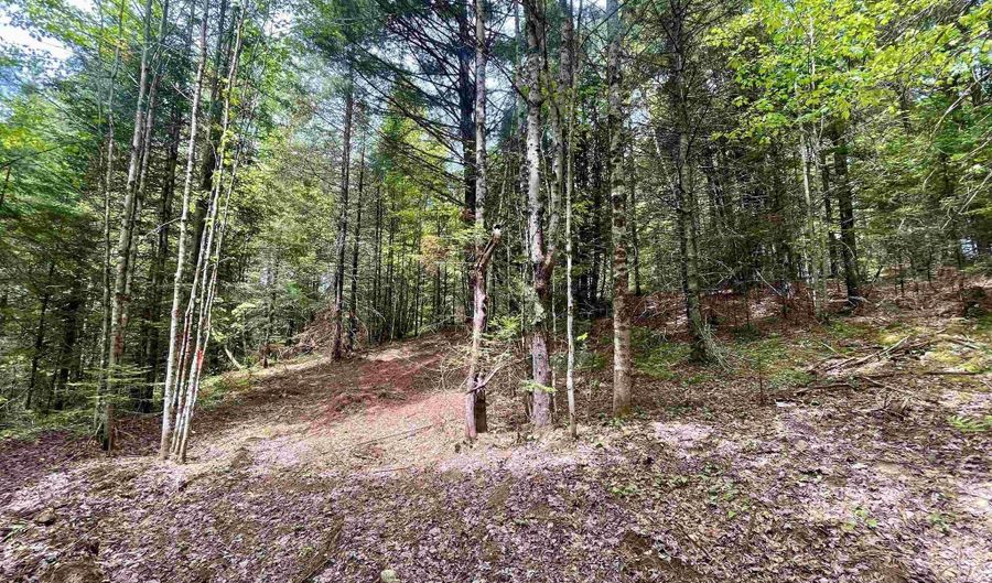 Marshall Newland Road, Burke, VT 05832 - 0 Beds, 0 Bath