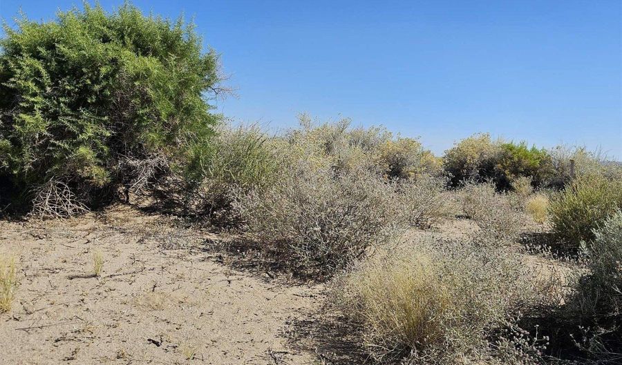 8245 Kamibo Dr, Fallon, NV 89406 - 0 Beds, 0 Bath