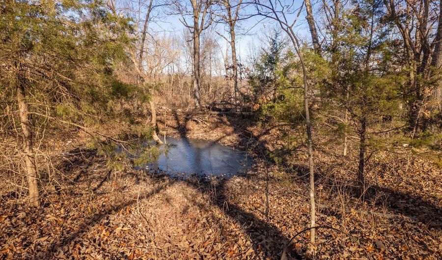 951 Aa Hwy, Alton, MO 65606 - 3 Beds, 1 Bath