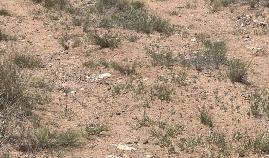 Unit 16 Lot 13 Blk 5 Volcano Cliffs, Albuquerque, NM 87120 - 0 Beds, 0 Bath