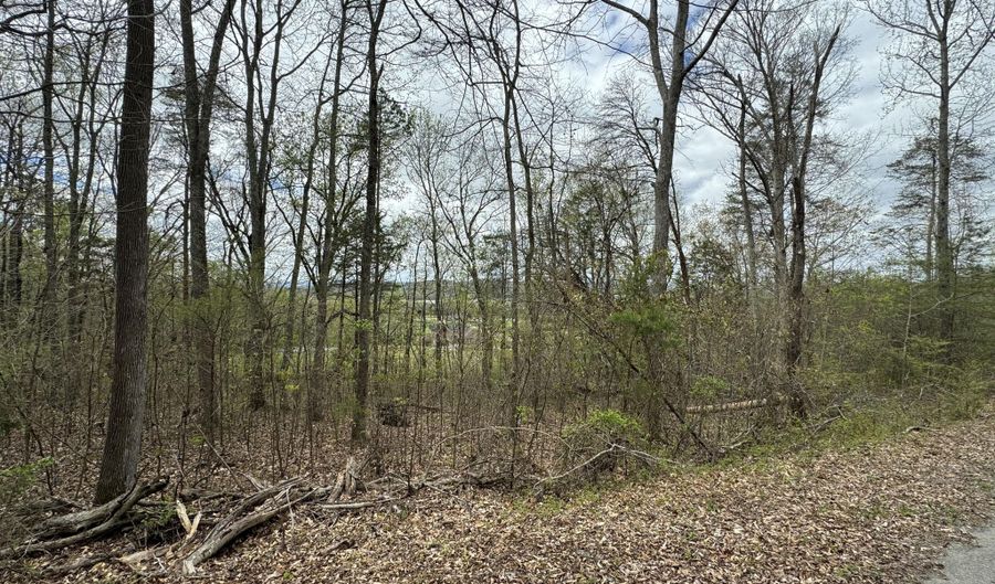 Lot 91 Butterfly Cove Trail, Decatur, TN 37322 - 0 Beds, 0 Bath
