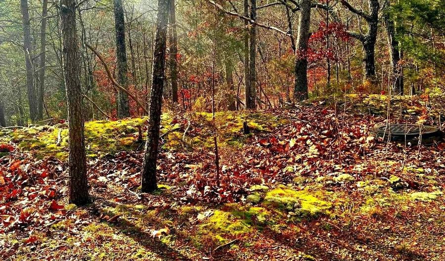 KING Street, Basye, VA 22810 - 0 Beds, 0 Bath