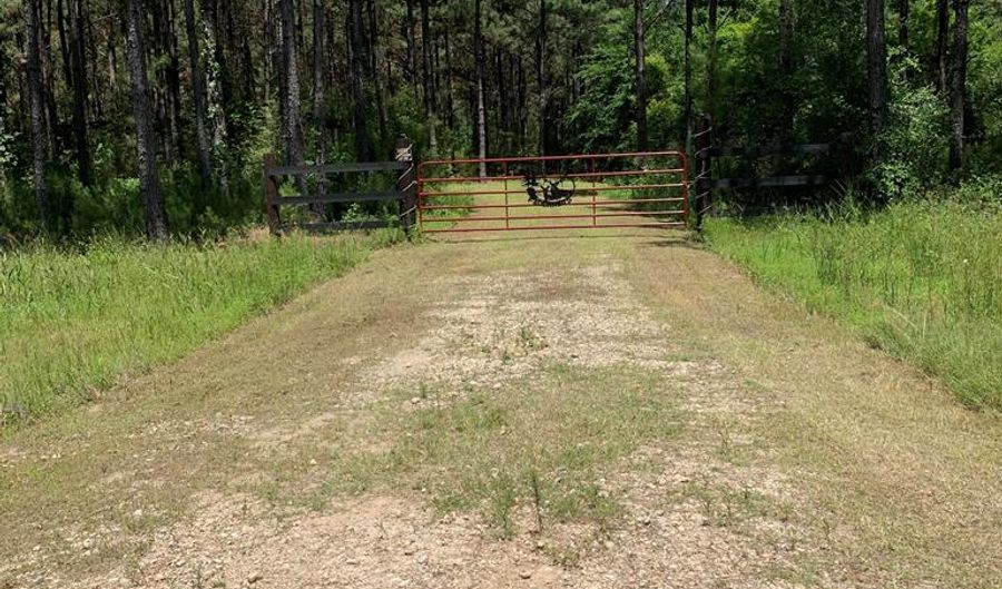 TBD Timber Ranch Road, Apple Springs, TX 75926 - 0 Beds, 0 Bath