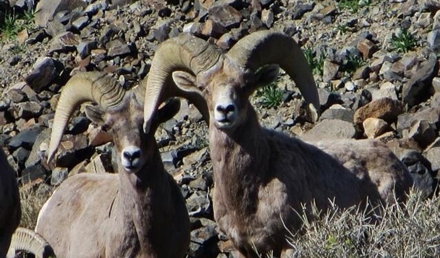 Lakeshore Drive, Carson City, NV 89415 - 0 Beds, 0 Bath