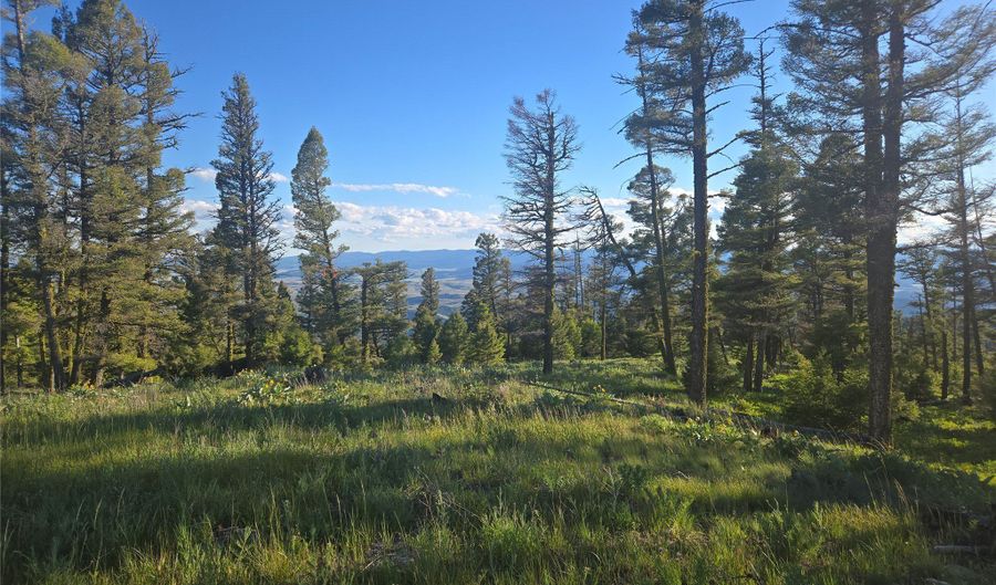1 Big Sky Ridge Rd, Drummond, MT 59832 - 0 Beds, 0 Bath