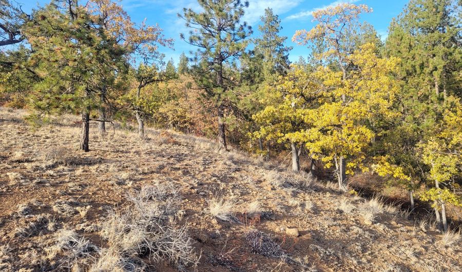 605 PINE CREEK Rd, Bickleton, WA 99322 - 0 Beds, 0 Bath