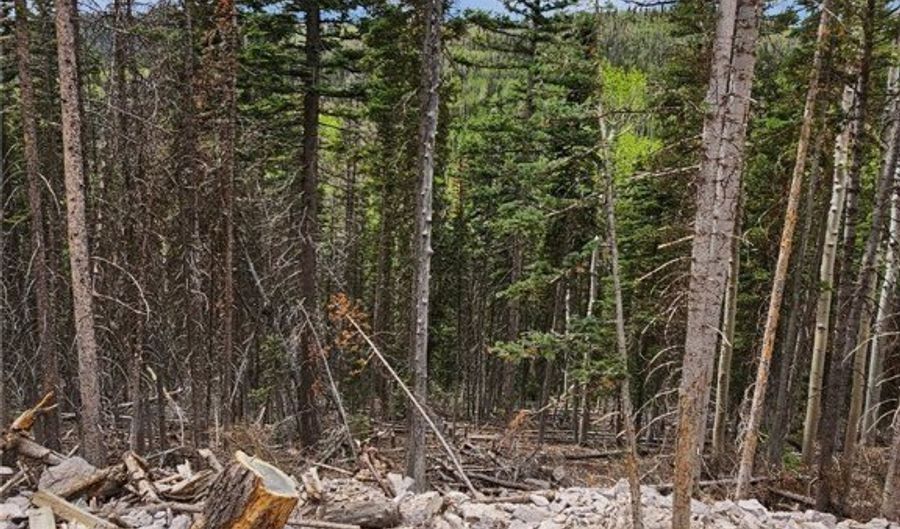 Lot 39 West Village, Beaver, UT 84713 - 0 Beds, 0 Bath