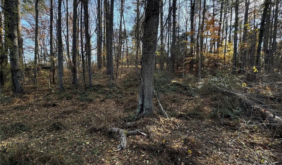 99999 Old Macedonia Rd, Alexander, NC 28701 - 0 Beds, 0 Bath