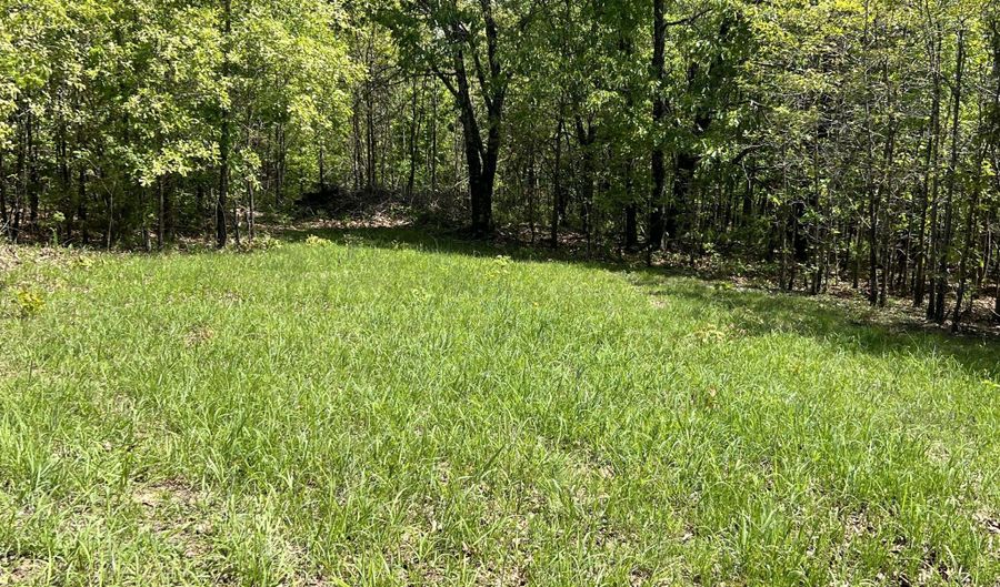 County Road P-309, Alton, MO 65606 - 0 Beds, 0 Bath