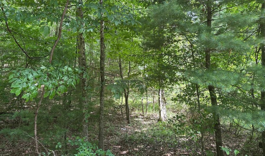 Rt. 1 Muddy Creek Mountain, Alderson, WV 24910 - 0 Beds, 0 Bath