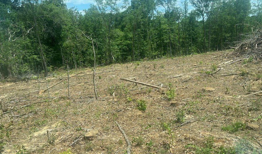 Highway 27, Attapulgus, GA 39815 - 0 Beds, 0 Bath