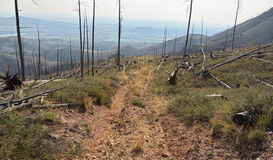 Pine Acres Rd, Bellvue, CO 80512 - 0 Beds, 0 Bath