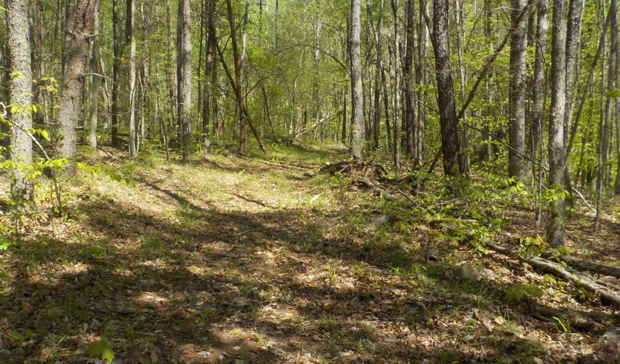 Steve Brown Road, Bean Station, TN 37708 - 0 Beds, 0 Bath