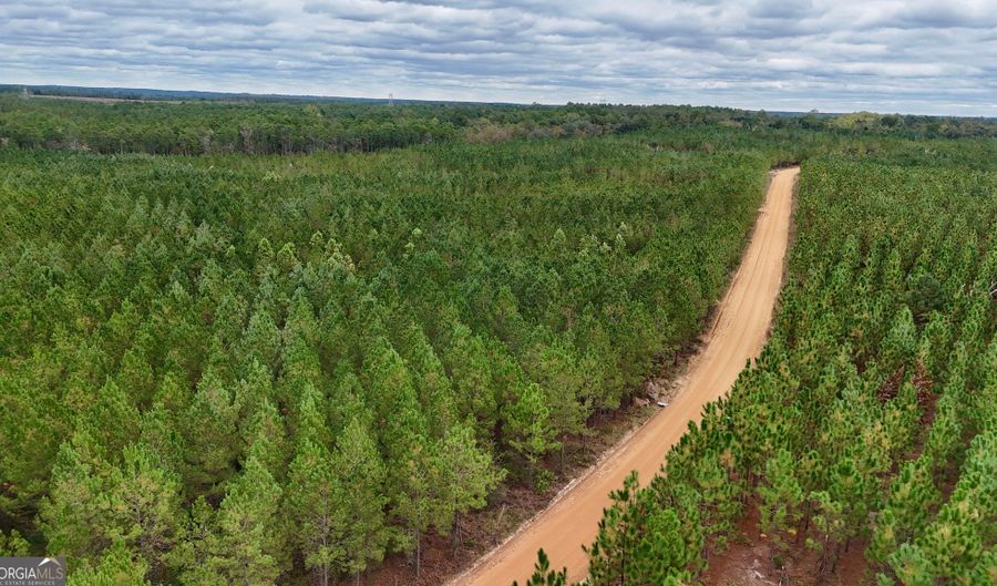 Penny Morris Road, Baxley, GA 31513 - 0 Beds, 0 Bath